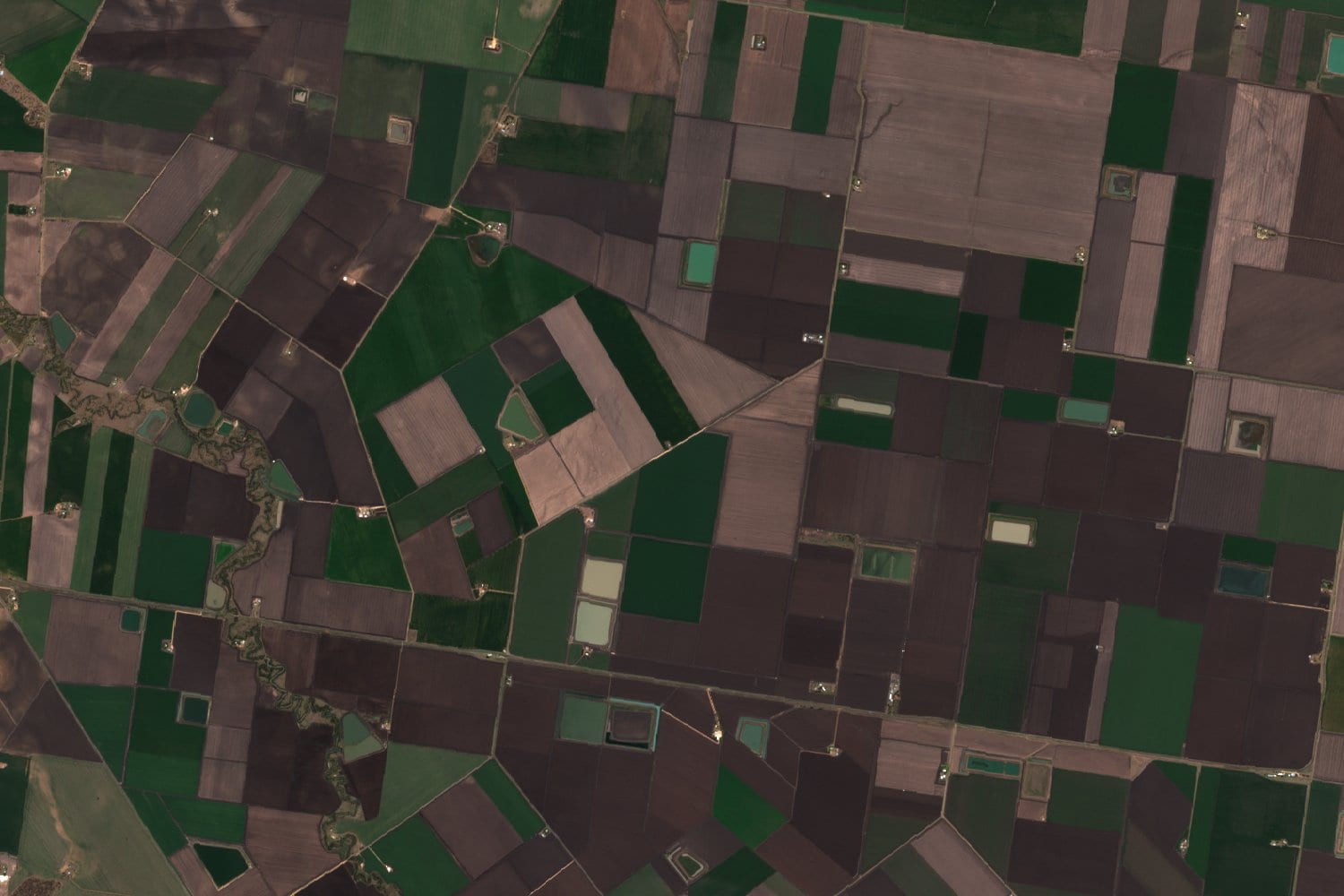 Imagen satelital en color natural, de 15 por 10 kilómetros: cultivos, reservorios de agua de las fincas y el brazo norte del río Condamine, en Nangwee, en los Darling Downs (Queensland, Australia), el 15 de septiembre de 2025.