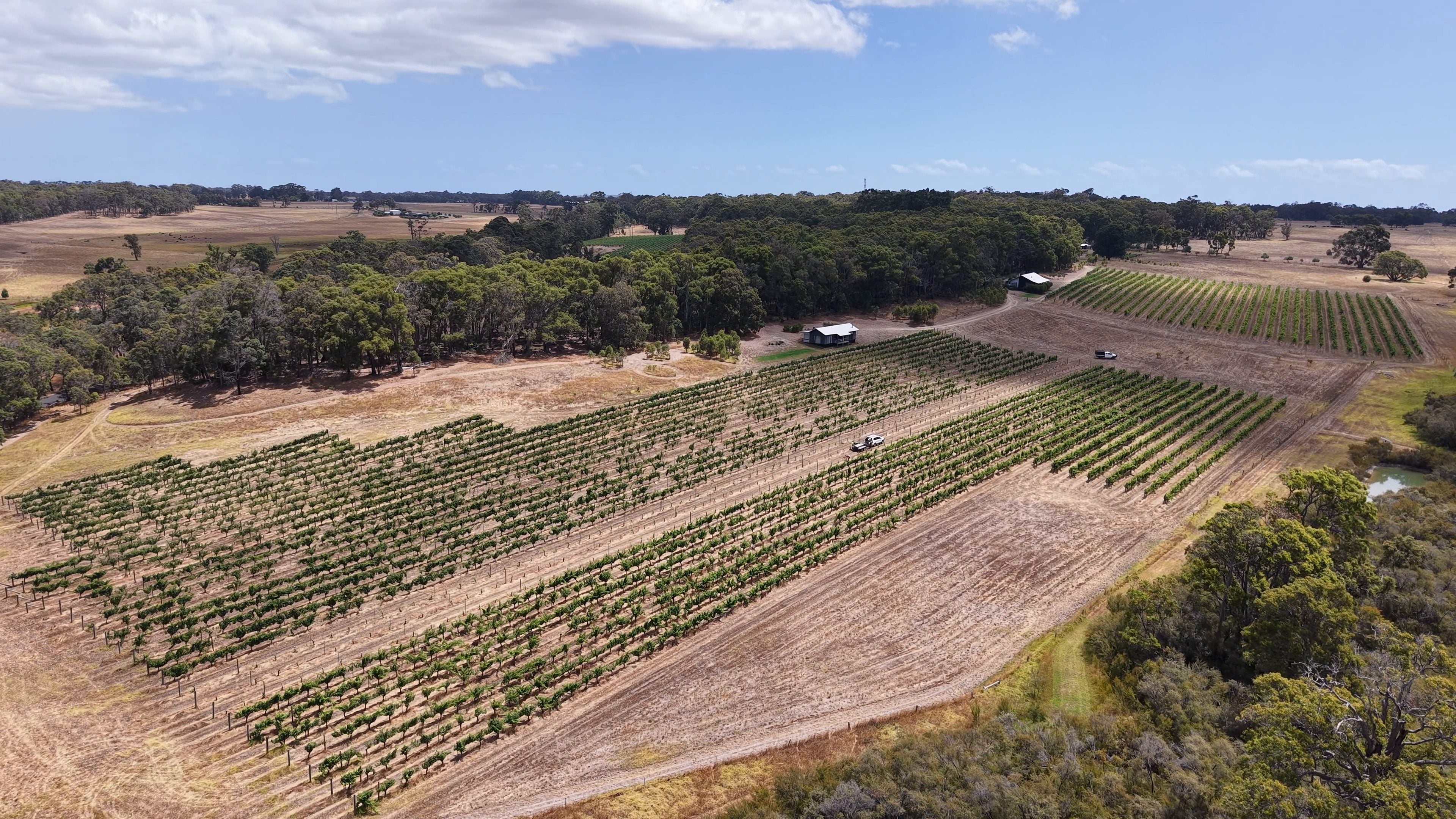 Vista aérea de vinhedos plantados em blocos na Austrália Ocidental, entre pastos secos e mata, com uma pequena construção de telhado branco e estradas de terra, sob céu azul com nuvens.