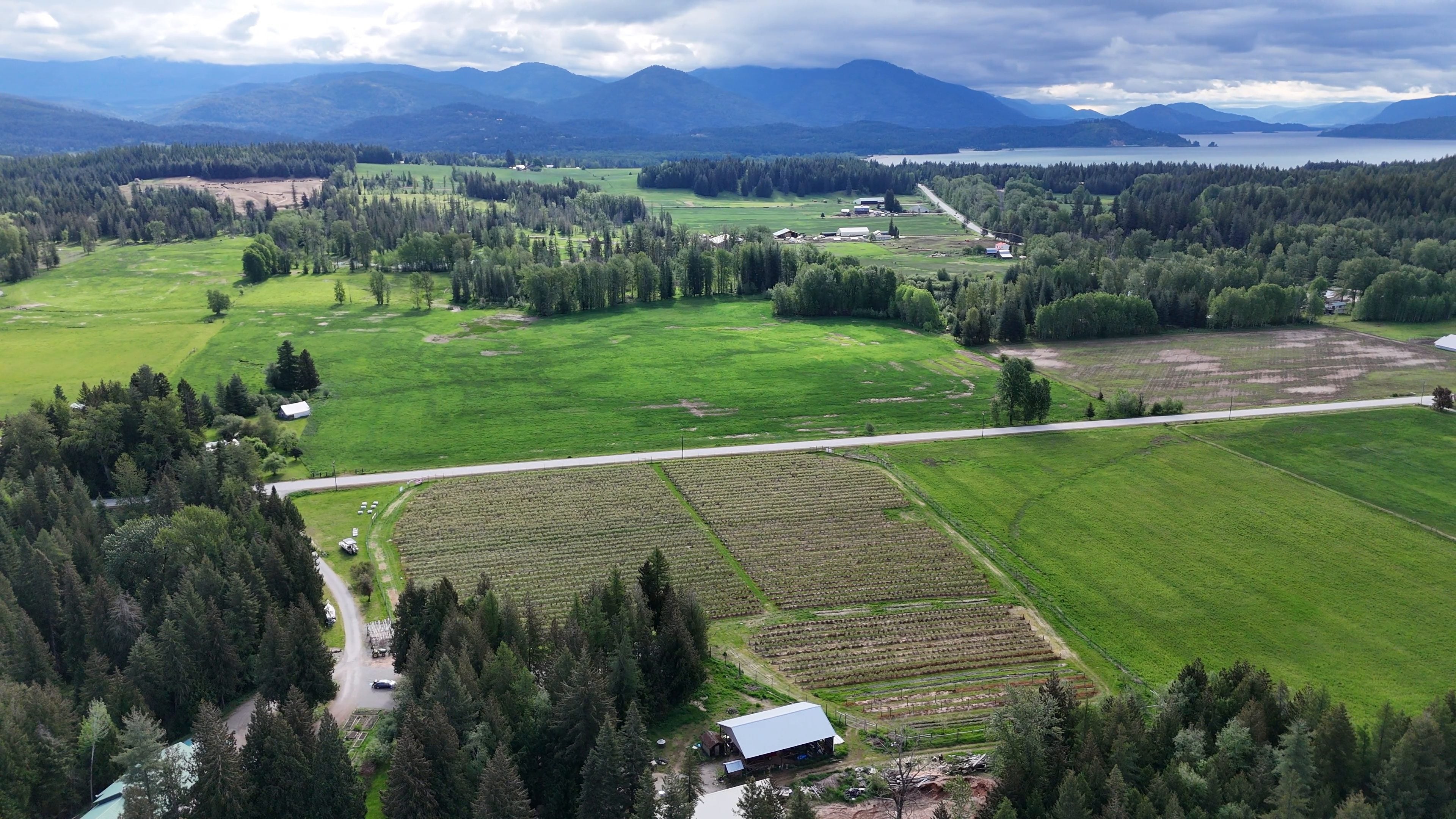 Vista aérea de um vale agrícola no norte de Idaho, nos EUA: campos verdes, talhões de cultivo em fileiras, uma estrada rural, um galpão e mata de coníferas, com um lago e montanhas ao fundo, sob céu nublado.