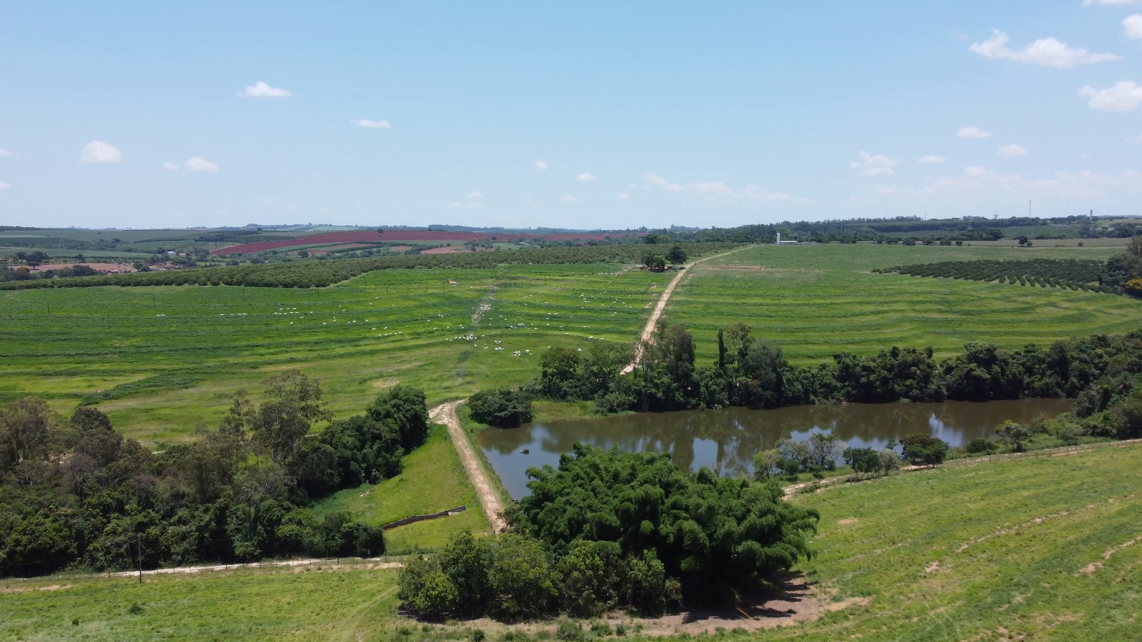 Vista aérea de un potrero verde en curvas de nivel, con ganado blanco a lo lejos, una represa rodeada de árboles, un camino de tierra y matas de bambú, y huertos y tierra roja al fondo, bajo cielo azul.